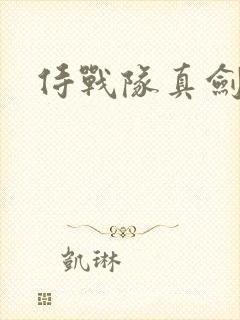 侍战队真剑者2