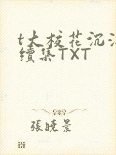 t大校花沉浮录续集TXT