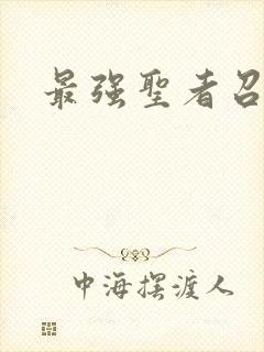 最强圣者召唤