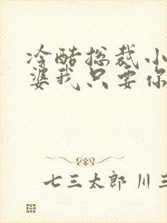 冷酷总裁小小老婆我只要你