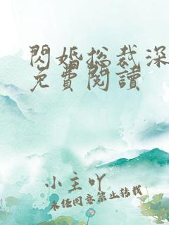 闪婚总裁深深宠免费阅读