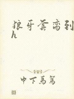 狼牙套脔到她哭h