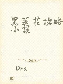 黑莲花攻略手册小说