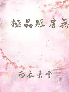 极品账房无弹窗