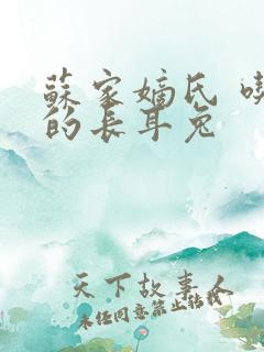 苏家嫡氏 吃肉的长耳兔