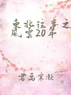 东北往事之黑道风云20年