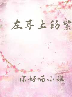 左耳上的紫水晶