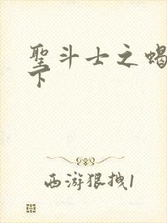 圣斗士之蝎行天下