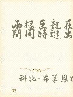 两根巨龙在她腿间同时进出