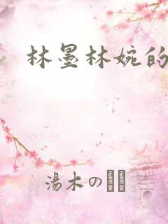 林墨林婉的小说