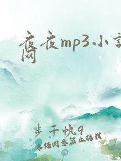 夜夜mp3小说网