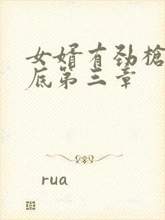 女婿有劲枪枪到底第三章