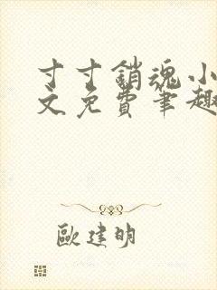 寸寸销魂小说全文免费笔趣阁