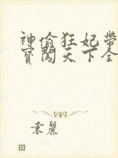 神偷狂妃带着宝宝闯天下全文免费阅读