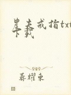 农夫戒指txt下载