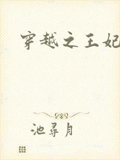 穿越之王妃有孕