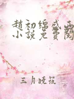 赵初绵盛西舫的小说免费阅读