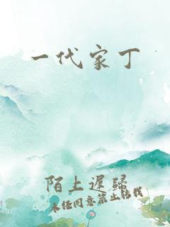 一代家丁