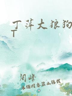 丁萍大狼狗TXT