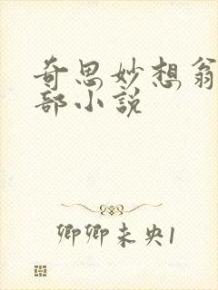 奇思妙想翁的全部小说