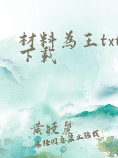 材料为王txt下载