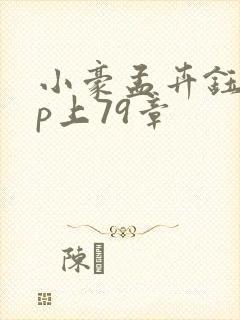 小豪孟卉钰慧三p上79章