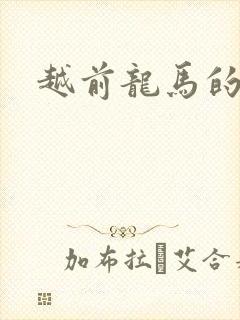越前龙马的小说