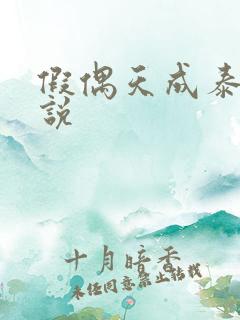 假偶天成泰剧小说