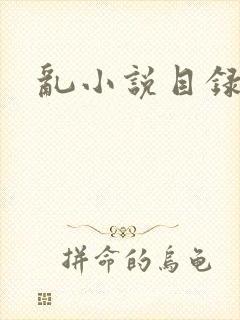 乱小说目录全文