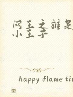 网王之谁是我的小王子