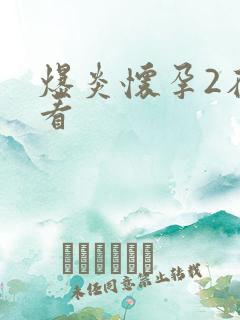 爆炎怀孕2在线看