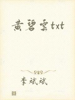 黄碧云txt