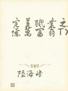 完美职业之我是亿万富翁TXT