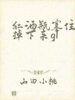 红酒瓶塞住不准掉下来gl