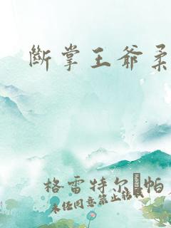 断掌王爷柔水妃