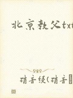 北京教父txt
