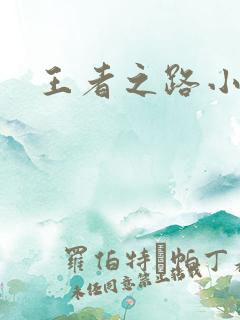 王者之路小说