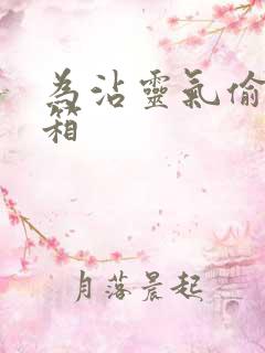 为沾灵气偷功德箱