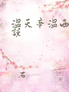 温天辛温西离小说