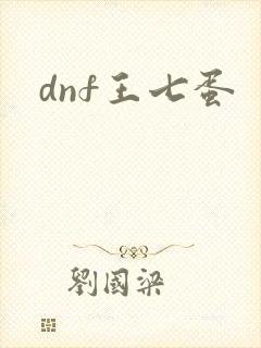 dnf王七蛋