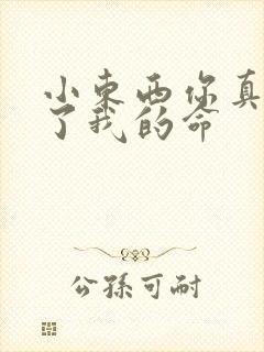 小东西你真能要了我的命