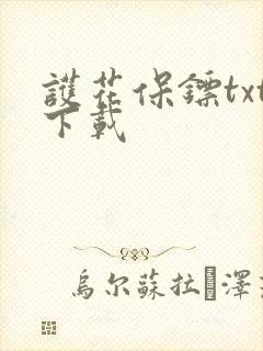 护花保镖txt下载