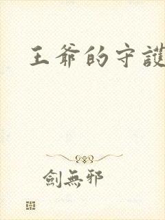 王爷的守护男妃