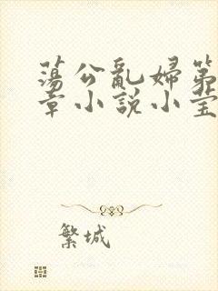 荡公乱妇第51章小说小莹