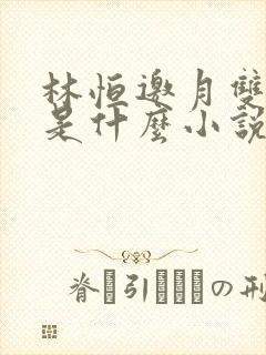 林恒邀月双胞胎是什么小说