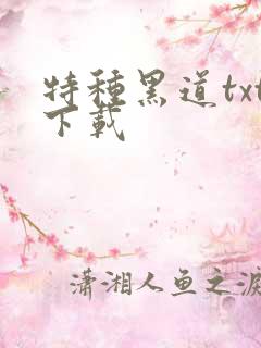 特种黑道txt下载