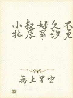 小叔好久不见顾北辰宁汐免费阅读