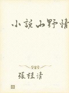 小说山野情债