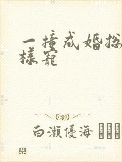 一撞成婚总裁花样宠