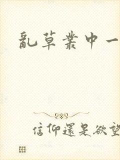 乱草丛中一杆枪